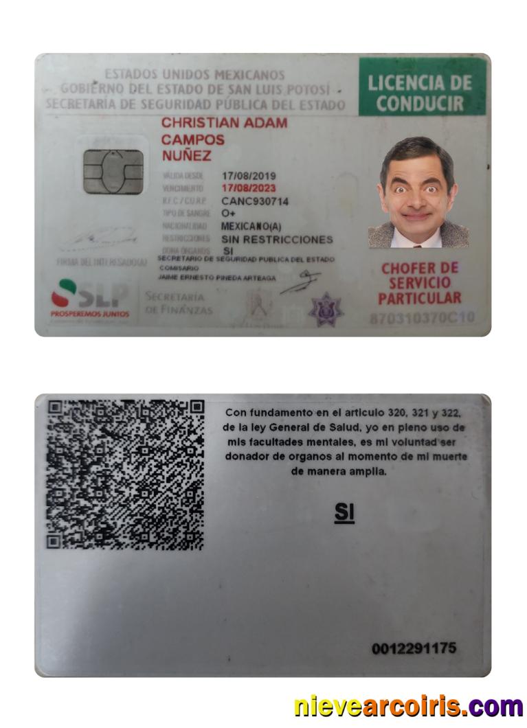Mexico driving license 2019-present